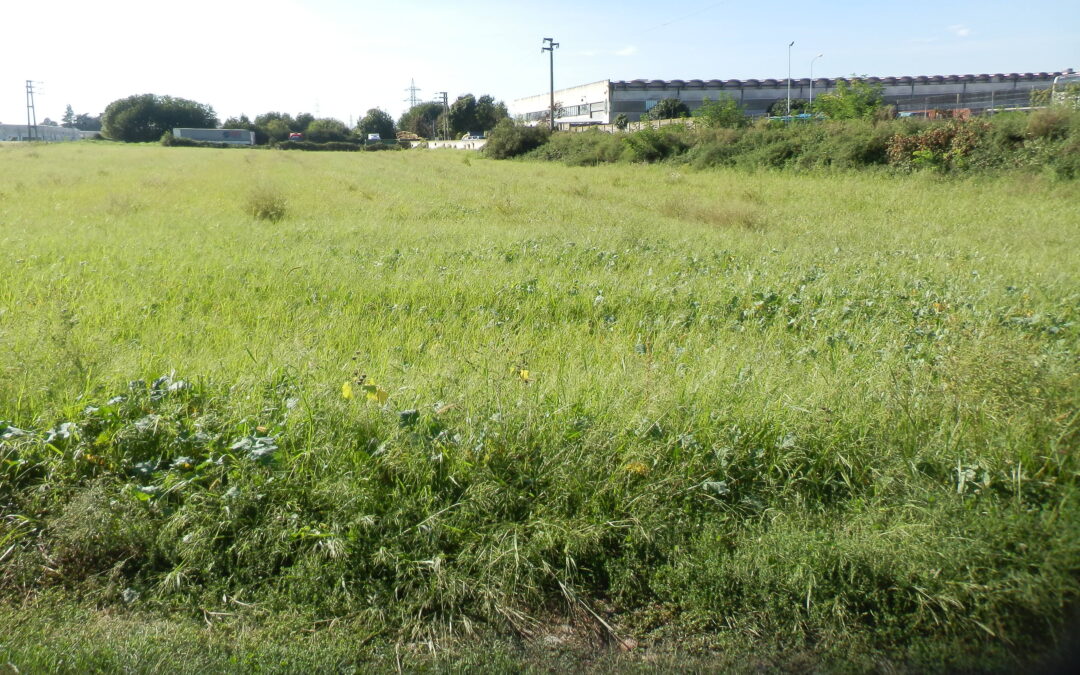 Terreno agricolo Saronno (VA)
